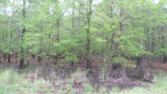 13 FOREST LAKE DRIVE, LINCOLNTON, GA 30817, photo 3 of 6
